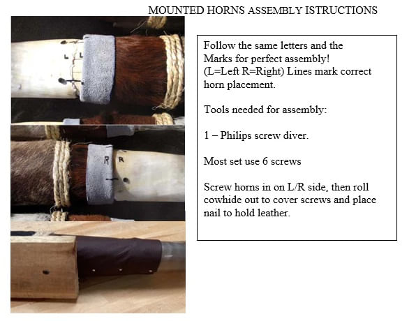 El-Paso-Cow-Horns-Mounting
