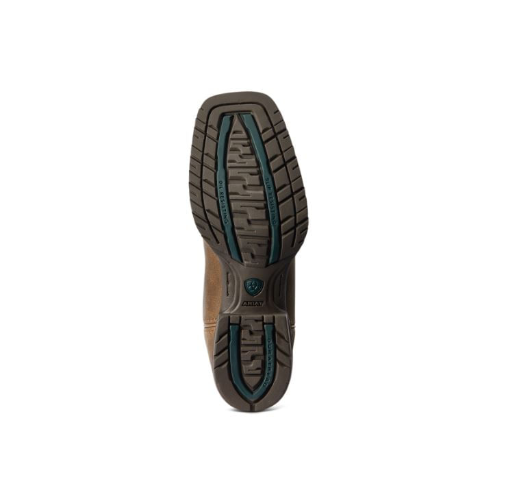 10042385-sole