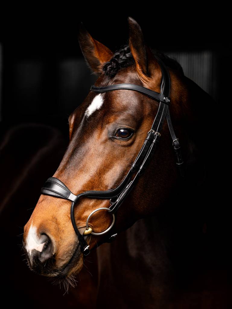 LeMieux-Arika-Anatomic-Noseband-Bridle---Black