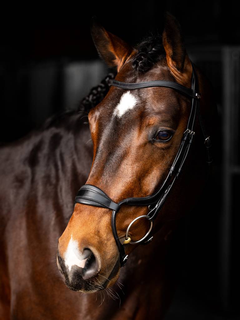 LeMieux-Arika-Anatomic-Noseband-Bridle---Black