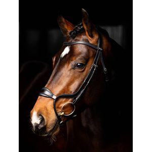 LeMieux Arika Anatomic Noseband Bridle - Black