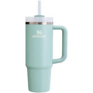 Stanley Quencher H2O 30oz (0.88L) Tumbler - Seafoam