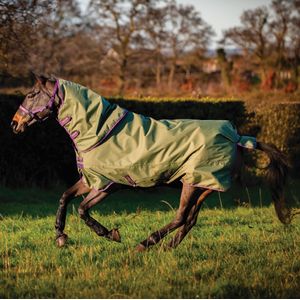 Amigo® Hero Ripstop Plus Turnout Light (100g Light) with Hood - Bramble/Winterberry/Taupe