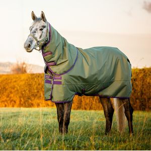 Amigo® Hero Ripstop Plus Turnout (200g Medium) with Hood - Bramble/Winterberry/Taupe