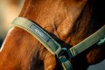 dhrx01-ggg0-amigo-headcollar---leadrope-set-NOSE-BAND