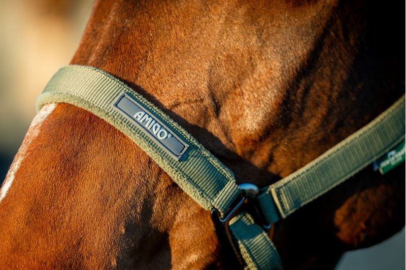 dhrx01-ggg0-amigo-headcollar---leadrope-set-NOSE-BAND