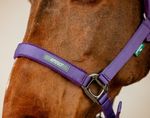 dhrx01-pp00-amigo-headcollar---leadrope-set-NOSE-BAND