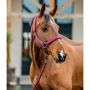 Amigo Halter & Lead Rope Set - Mulberry