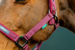 dhrx01-rrr0-amigo-headcollar---leadrope-set-DETAIL