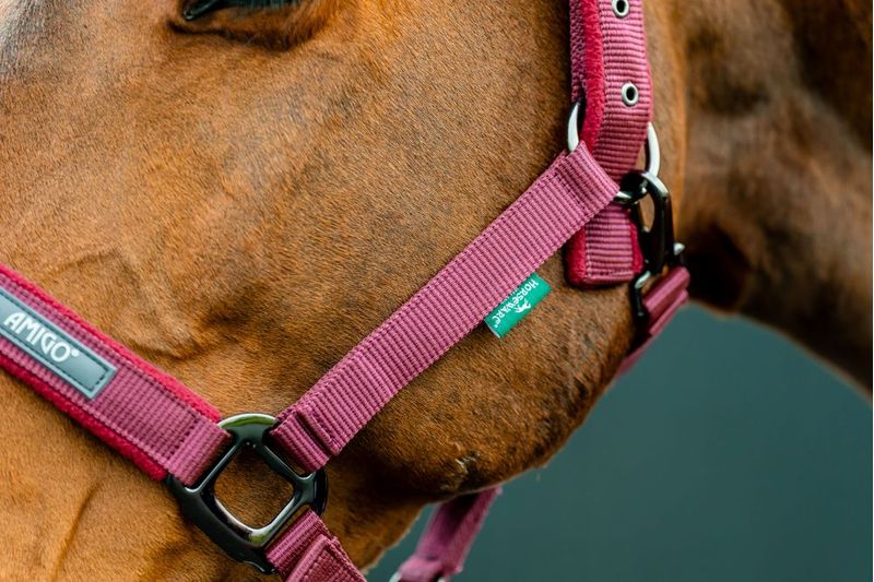 dhrx01-rrr0-amigo-headcollar---leadrope-set-DETAIL
