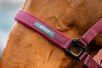 dhrx01-rrr0-amigo-headcollar---leadrope-set-NOSE-BAND