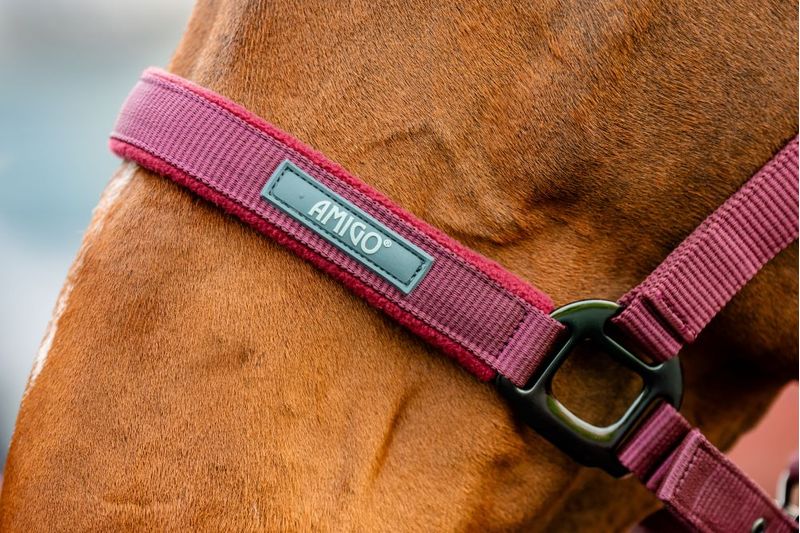 dhrx01-rrr0-amigo-headcollar---leadrope-set-NOSE-BAND