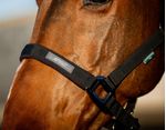 dhrx01-k000-amigo-headcollar---leadrope-set-NOSE-BAND