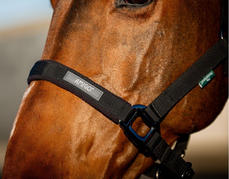 dhrx01-k000-amigo-headcollar---leadrope-set-NOSE-BAND