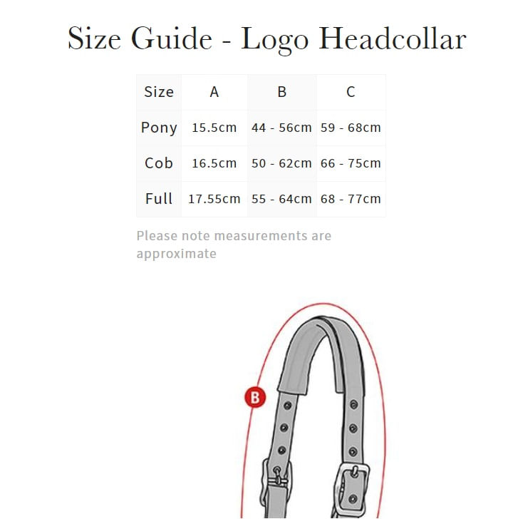 SC-LeMieux-Halter