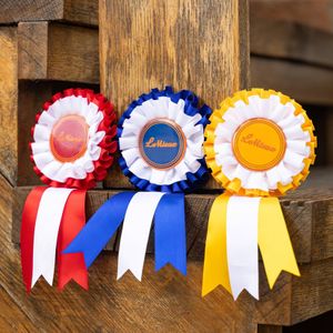 LeMieux Hobby Horse Rosette Pack - Multi