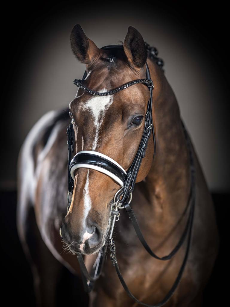 LeMieux-Kudos-Double-Bridle---Black---White