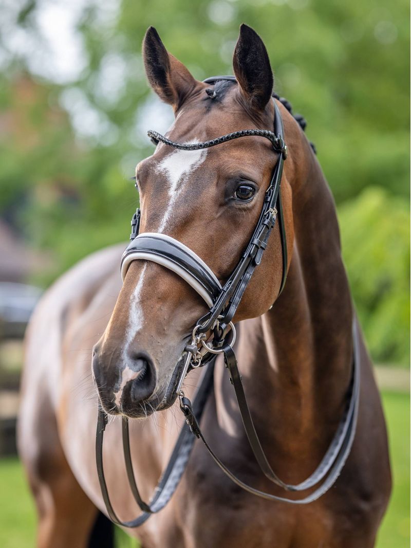 LeMieux-Kudos-Double-Bridle---Black---White
