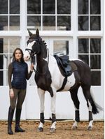 LeMieux-Luxury-Suede-General-Purpose---Alpine