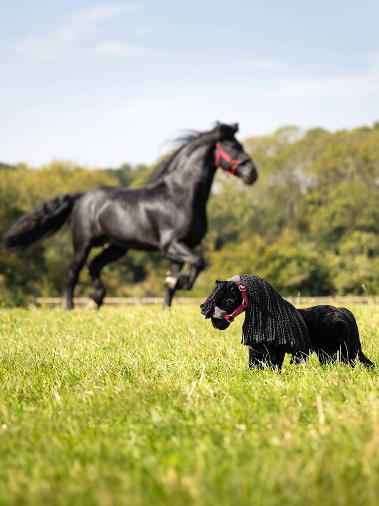 LeMieux-Toy-Pony---Spike