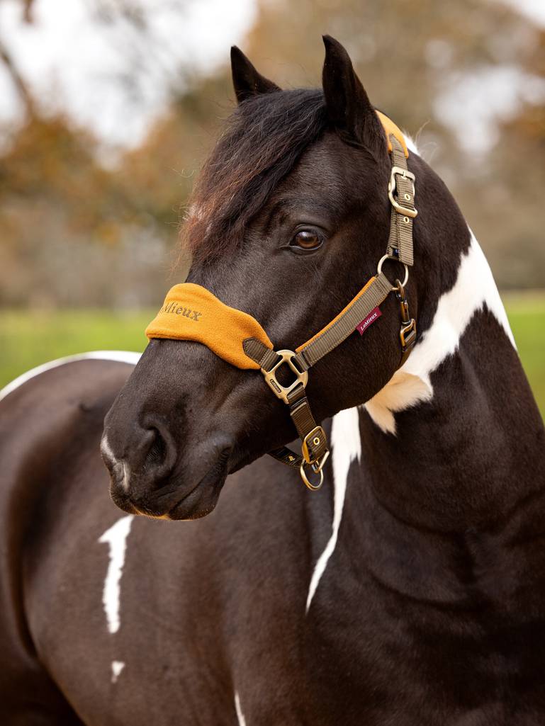LeMieux-Vogue-Halter-And-Leadrope---Alpine