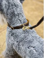 LeMieux-Toy-Puppy-Collar---Lead---Ginger-