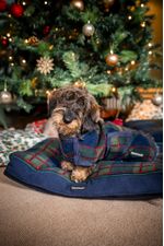 rrhfc0-b5rg-rshpbb-b5rg-horseware-xmas-dog-rug-horseware-xmas-dog-bed--9-