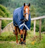 aarn42-bji0-amigo-bravo-12-original-hood-150g-light-navy-horse_ucctdzhhr0vxlatt