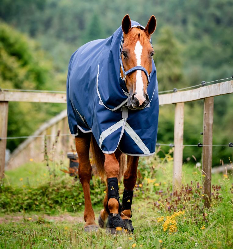 aarn42-bji0-amigo-bravo-12-original-hood-150g-light-navy-horse_ucctdzhhr0vxlatt