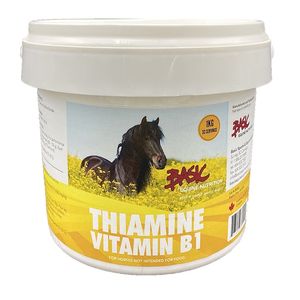 Basic Equine Nutrition Thiamine(Vitamin B1)