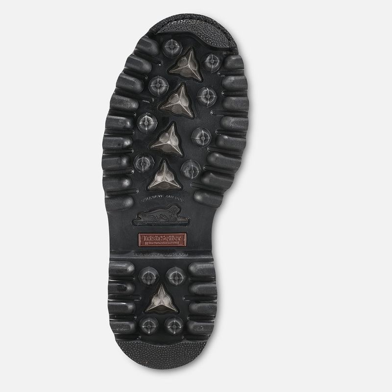 Irish-Setter-860-sole