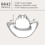 Stetson-SSGNFT-66428-dimen