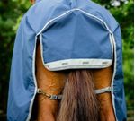 Amigo-AARDM2-BJI0-rear-flap