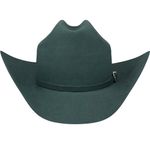 Bailey-W0604A--Sage-Leaf-front