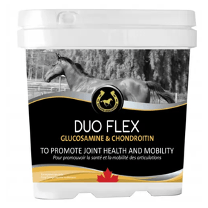 Duo Flex - Golden Horseshoe