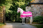 Pink-cooler1