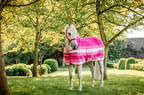 pink-cooler2