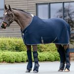 LeMieux-IT05032007-d.jpg