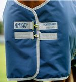 Amigo-aarag1-bjj0-b.jpg