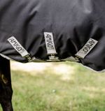 Amigo-AARW71-KJI0-c.jpg
