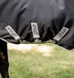 Amigo-AARW71-KJI0-c.jpg