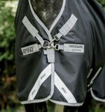 Amigo-AARW71-KJI0-e.jpg