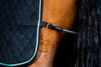 Horseware-Autumn-Cooler---Black--Aqua