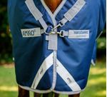 Amigo-AARW71-BJI0-c.jpg