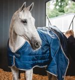 tihlc1-cib0-horseware-ionic-therapy-liner-50g-horse-stable_ucwjsawtobgjy3jc.jpg