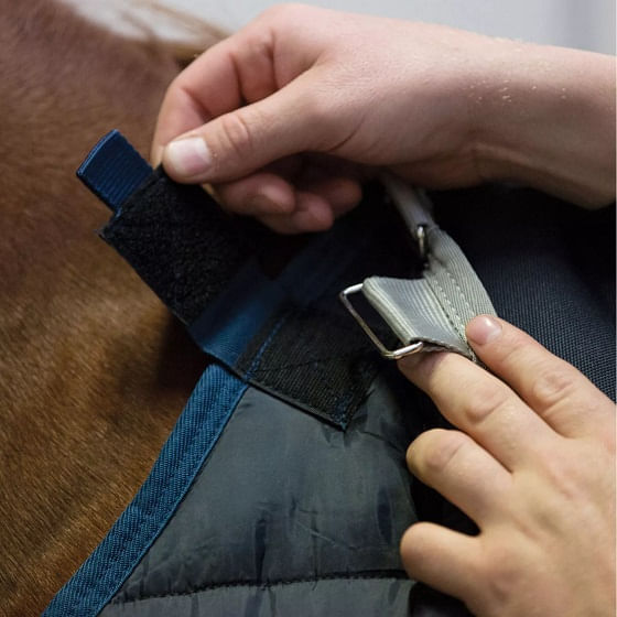 HorsewareABHG01BB00attachment