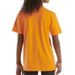 Carhartt-CA6513-E165-b.jpg