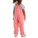 Carhartt-CM9713-P391-b.jpg