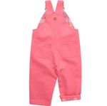 Carhartt-CM9713-P391-c.jpg