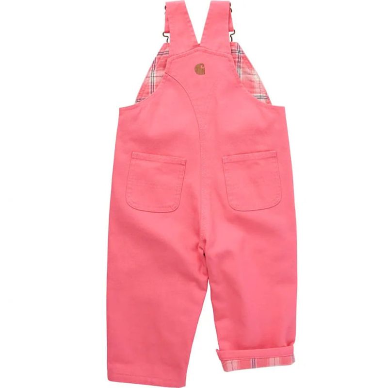 Carhartt-CM9713-P391-c.jpg